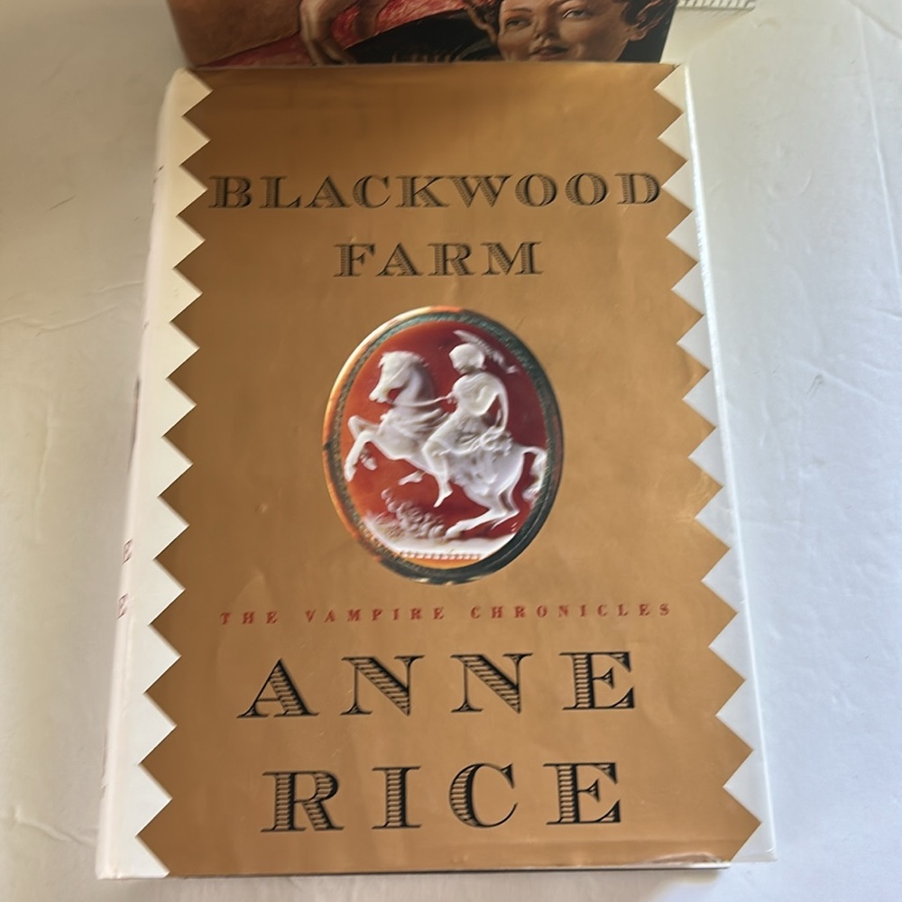 Anne Rice Vampire Chronicles Book Set - Picture 4 of 6